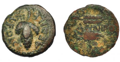 1017 - HISPANIA ANTIGUA. ACINIPO. As. A/ Racimo de uvas, en la parte superior estrella a izq.; L FOLCE AEDILE. R/ Dos espigas a der., en medio (A)CINIPO. AE 6,37 g. 22,1 mm. I-59. ACIP-2455. Pátina oscura. MBC/RC-. Rara.