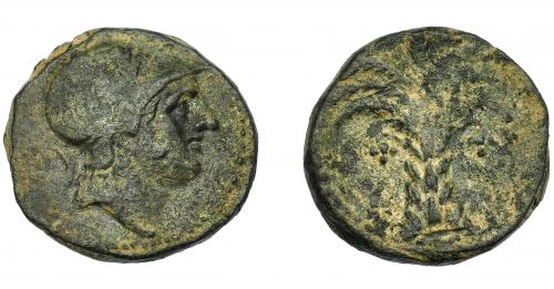 1173 - HISPANIA ANTIGUA. ACUÑACIONES HISPANO-CARTAGINESAS. Mitad. A/ Cabeza masculina con casco a der. R/ Palmera con frutos. AE 6,23 g. 20 mm. I-518. ACIP-581. Pátina verde oscuro. MBC-.