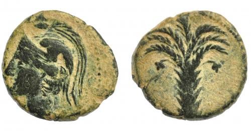 1180 - HISPANIA ANTIGUA. ACUÑACIONES HISPANO-CARTAGINESAS. Mitad. A/ Cabeza femenina con casco de larga cimera a izq. R/ Palmera con frutos. AE 4,52 g. 19,6 mm. I-532. ACIP-600. Pátina verde terrosa. MBC-.