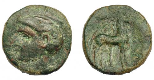 1183 - HISPANIA ANTIGUA. ACUÑACIONES HISPANO-CARTAGINESAS. Unidad. A/ Cabeza masculina a der. R/ Caballo parado a der. delante de palmera. AE 11, 19 g. 24,1 mm. I-552. ACIP-609. Vanos. Pátina verde. MBC-.