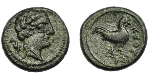 1037 - HISPANIA ANTIGUA. AREKORATAS. Cuarto. A/ Cabeza masculina a der., detrás delfín. R/ Gallo a der., AREKoRATa. AE 5,86 g. 20 mm. I-92. ACIP-1781. Pátina verde oscuro. MBC. Rarísima, no más de tres ejemplares conocidos. Ex Vico, 3-3-1993, lote 25.