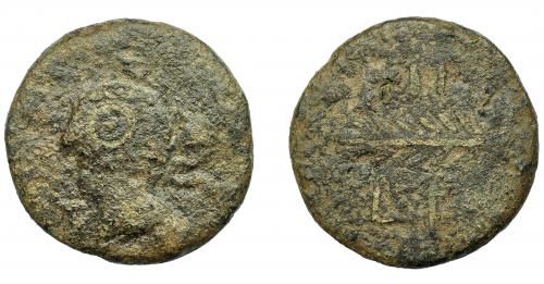 1038 - HISPANIA ANTIGUA. ARSA. Unidad. A/ Cabeza masculina a izq., alrededor (A)R(SA). R/ Palma, ley. libio-fenicia poco visible. AE 9,48 g. 26,6 mm. I-131. ACIP-910. Superficies rugosas. BC. Muy rara. Ex Áureo, 22-10-1997, lote 224.