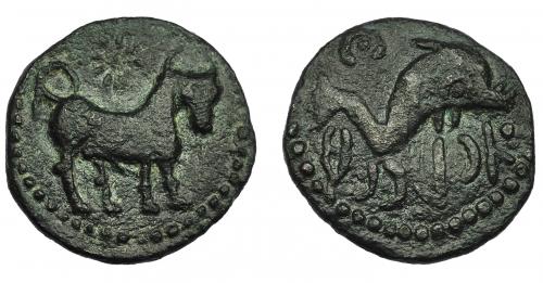 1045 - HISPANIA ANTIGUA. ASIDO. Semis. A/ Toro a der., encima estrella. R/ Delfín a der., encima creciente con punto, delante caduceo, debajo ´sdnbl. AE 6,83 g. 23,4 mm. I-158. ACIP-914. Pátina verde oscura. MBC/MBC+. Ex Vico, 3-3-1993, lote 35.