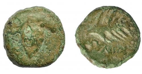 1056 - HISPANIA ANTIGUA. BAICIPO. Semis. A/ Racimo de uvas, a izq. S. R/ Espiga a der., debajo BAIC(IP). AE 6,62 g. 18,7 mm. I-183. ACIP-2507. Pátina verde. BC+. Compra privada Pliego (1994).