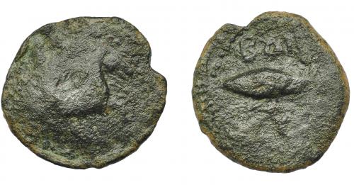 1059 - HISPANIA ANTIGUA. BAILO. Divisor. A/ Caballo avanzando a der. R/ Atún a izq., debajo creciente con punto (no visible), encima BAIL(O). AE 4,06 g. 22,5 mm. I-no. ACIP-926. Pátina oscura. RC/BC+. Muy rara. Compra privada Pliego (1999).