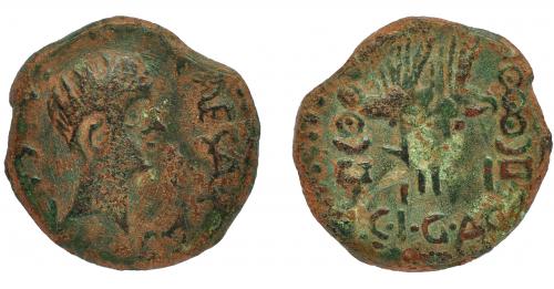 1009 - HISPANIA ANTIGUA. ACCI. As. Augusto. A/ Cabeza a der.; (C)AESAR AVGVSTVS. R/ Dos aquilae entre dos signa; II-I/ C I G AC. I-32 (vte. ley. anv.). AE 8,14 g. 25,8 mm. APRH-133b. ACIP-3001a. Múltiples rayitas en anv. BC+. Escasa. Ex Áureo, 1-7-1997, lote 82.