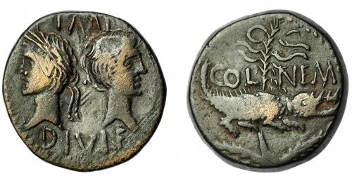 134 - IMPERIO ROMANO. PERIODO DE JULIO CÉSAR A AUGUSTO. AUGUSTO. As. Colonia Nemausus (10 a.C.-14 d.C.). A/ Bustos opuestos de Augusto y Agripa; IMP /DIVI F. R/ Cocodrilo encadenado a palmera; en el campo COL-NEM. RIC-158. MBC-. Ex Áureo, 26-4-1994, lote 2283.