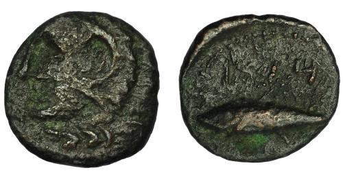 29 - HISPANIA ANTIGUA. GADIR. Mitad o cuarto. A/ Cabeza de Melkart a izq. R/ Atún a izq., encima m`pl/ (´gdr). AE 1,53 g. 14,9 mm. I-1346. ACIP-692. Pátina oscura. BC+. Escasa.