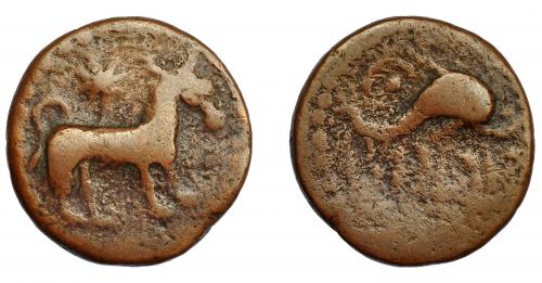 4 - HISPANIA ANTIGUA. ASIDO. Semis. A/ Toro a der., encima estrella. R/ Delfín a der., encima creciente con punto, debajo ley. libio-fenicia 'sdnbl. AE 6,12 g. 21,19 mm. I-158. ACIP-914. BC+/BC-. Muy rara.