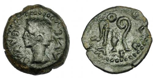 56 - HISPANIA ANTIGUA. COLONIA PATRICIA. Augusto. Cuadrante. A/ Cabeza a izq.; PER CAE AVG. R/ Instrumentos pontificales; (COL) PATR. AE 2,22g. 14,7 mm. I-1993. APRH-131. ACIP-3359. Pátina oscura. BC+/MBC-.