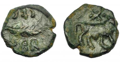 63 - HISPANIA ANTIGUA. SEGOBRIGA. Cuadrante. A/ Toro a der., encima estrella entre dos puntos. R/ Palma, alrededor ley. SEG-OBR. AE 2,26 g. 14,77 mm. I-2183. ARPH-471. ACIP-1843 (Konterbia Karbika). Pátina oscura. BC+. Muy escasa.