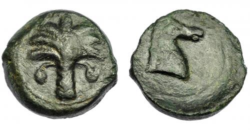 84 - HISPANIA ANTIGUA. ZEUGITANIA. CARTAGO. 1/2 calco. A/ Cabeza de caballo a der. R/ Palmera. AE 5,72 g. 18,45 mm. I-519. ACIP-no. SBG-6531. MBC. Rara.