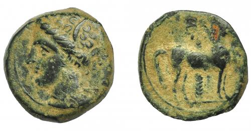 85 - GRECIA ANTIGUA. ZEUGITANIA. Cartago. 1/2 calco (S. IV - III a.C.). A/ Cabeza de Tanit a izq. R/ Caballo a der., detrás, palmera. AE 2,68 g. 15,6 mm. COP-109-113. SBG-6444. MBC-.