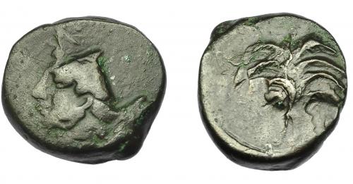 89 - GRECIA ANTIGUA. ZEUGITANIA. Cartago. AE (350-320 a.C.). A/ Palmera con dos racimos de dátiles. R/ Doble acuñación con cabeza de caballo a der. y Tanit a izq. AE 4,83 g. 17,17 mm. COP-105 vte. BC+/MBC-.