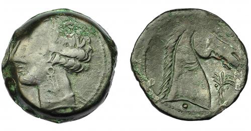 95 - GRECIA ANTIGUA. ZEUGITANIA. Cartago. Calco (300-264 a.C.). A/ Cabeza de Tanit a izq. R/ Cabeza de caballo a der, delante palmera y debajo punto. AE 5,3 g. 19,92 mm. COP-173-178. Vano. MBC-/MBC.