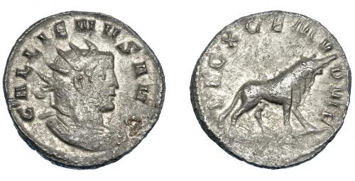 3169 - IMPERIO ROMANO. GALIENO. Antoniniano. Mediolanum (258). A/ Busto radiado y acorazado a der.; GALLIENVS AVG. R/ Toro a der.; LEG X GEM VI P VI F. VE 3,37 g. 19 mm. RIC-357. MBC-.