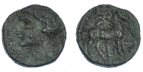 3026 - HISPANIA ANTIGUA. EMISIONES HISPANO-CARTAGINESAS. Unidad. A/ Cabeza masculina a izq. R/ Caballo parado delante de palmera. AE 11,61 g. 24,4 mm. I-552. ACIP-609. Pátina verde rugosa. BC+.