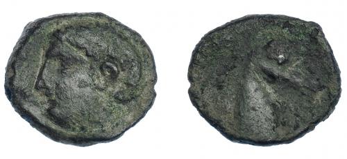 3027 - HISPANIA ANTIGUA. EMISIONES HISPANO-CARTAGINESAS. Quinto. A/ Cabeza masculina a izq. R/ Cabeza de caballo a der. AE 2,06 g. 14,5 mm. I-554. ACIP-610. Pátina oscura. MBC-/BC+.