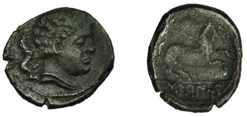 3087 - HISPANIA ANTIGUA. SEKAISA. Mitad. A/ Cabeza masculina a der., detrás leona. R/ Caballo saltando a der., bajo línea ley. ibérica SEKaISA. AE 5,6 g. 22,2 mm. I-2141. ACIP-1530. Pátina oscura. MBC/MBC-. Rara.