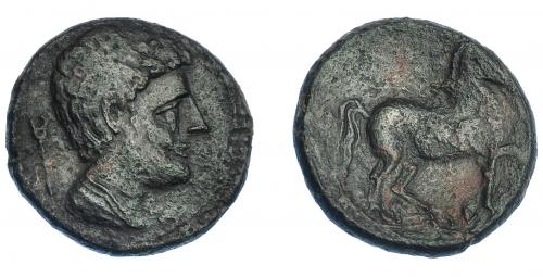 3100 - HISPANIA ANTIGUA. KESE-TARRACO. Mitad. A/ Cabeza masculina con cuello vestido a der., detrás caduceo. R/ Caballo con rienda suelta avanzando a der., debajo sobre línea Ke-SE, entre las patas delanteras glóbulo. AE 4,88 g. 20,5 mm. I-2306. ACIP-1129. Pátina oscura con porosidades. MBC/MBC-.