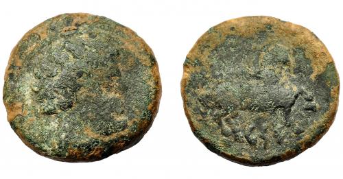 104 - HISPANIA ANTIGUA. KESE. Semis. A/ Cabeza masculina a der. R/ Caballo avanzando a der.; debajo ley. KeSE. AE 9,13 g. 23 mm. I-2299. ACIP-1110. RC. Rara.