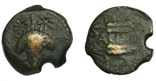 13 - HISPANIA ANTIGUA. ACINIPO. As. A/ Racimo entre dos estrellas. R/ Dos espigas a der., en mecio ACI(NIPO). AE 6,78 g. 21,7 mm. I-49. ACIP-2454. Pátina oscura. Cospel irregular. BC+. Rara.