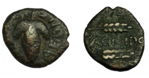 14 - HISPANIA ANTIGUA. ACINIPO. As. A/ Racimo; (L FOLCE) AEDILE, estrellas a izq. R/ Dos espigas; ACINIPO. AE 4,16 g. 18,7 mm. I-59. ACIP-2455. Pátina oscura. MBC-. Rara.