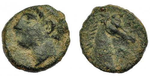 22 - HISPANIA ANTIGUA. EMISIONES HISPANO-CARTAGINESAS. 1/4 de calco. A/ Cabeza masculina a izq. R/ Cabeza de caballo a der. AE 1,95 g. 13,6 mm. I-554. ACIP-610. Pátina verde. MBC-.