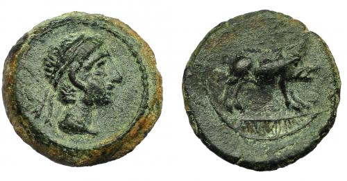 26 - HISPANIA ANTIGUA. CASTULO. Cuarto. A/ Cabeza masculina diademada a der. R/ Jabalí a der., encima estrella, en exergo KaSTiLO. AE 2,74 g. 15,6 mm. I-no. ACIP-2108. Pátina verde. MBC. Muy rara.