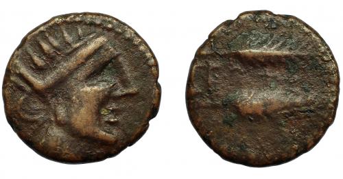 31 - HISPANIA ANTIGUA. CERIT. Semis. A/ Cabeza femenina radiada a der. R/ Dos espigas, en medio CERIT. AE 4,24 g. 18,9 mm. I-823. ACIP-2413. MBC/BC+. Muy escasa.
