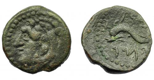 35 - HISPANIA ANTIGUA. GADIR. Cuarto. A/ Cabeza de Melkart con leonté a izq., detrás clava. R/ Delfín con tridente; p'lt/hgdr. AE 3 g. 16 mm. I-1353. ACIP-681. Pátina verde. MBC-/MBC.