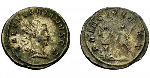 353 - IMPERIO ROMANO. SALONINO. Antoniniano. Lugdunum (256). R/ Salonino en traje militar a izq. con bastón de mando y lanza, delante trofeo; PRINC IVVENT. VE 3,64 g. 22,2 mm. RIC-11. Pequeña concreción. MBC-/BC+.