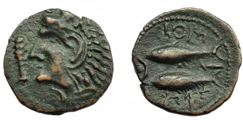 36 - HISPANIA ANTIGUA. GADIR. Mitad. A/ Cabeza de Melkart a izq. R/ Dos atunes a izq., en medio creciente con punto y aleph; mp'l/ ´gdr. AE 2,97 g. 19 mm. I-1347. ACIP- 688. Pátina verde oscuro. MBC+.