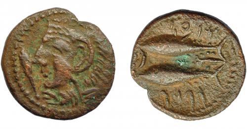 37 - HISPANIA ANTIGUA. GADIR. Mitad. A/ Cabeza de Melkart a izq. R/ Dos atunes a izq., en medio creciente con punto y aleph; mp'l/ ´gdr. I-1347. ACIP-688. AE 3,79 g. 19,3 mm. Pátina verde oscuro. Leve oxidación. MBC. Escasa.