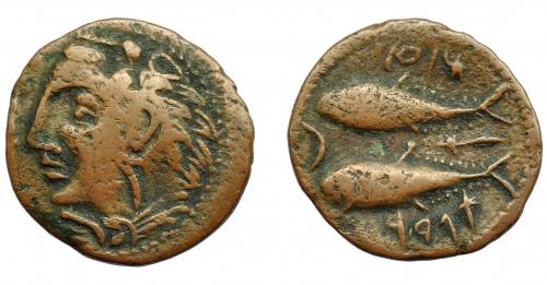 38 - HISPANIA ANTIGUA. GADIR. Mitad. A/ Cabeza de Melkart a izq. R/ Dos atunes a izq., en medio creciente con punto y aleph; mp'l/ ´gdr. I-1347. ACIP-688. AE 2.97 g. 19,3 mm. MBC-. Escasa.