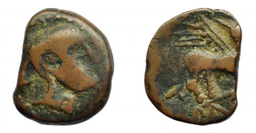 42 - HISPANIA ANTIGUA. FLORENTIA-ILIBERIR. As. A/ Cabeza con casco a der. R/ Esfinge a der., en exergo ILTuR(IR). AE 12,25 g. 27 mm. I-1500. ACIP-2298. Cospel irregular. MBC-.