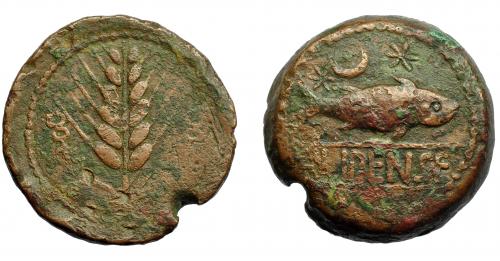 43 - HISPANIA ANTIGUA. ILIPA. As de 10 monedas en libra. A/ Espiga entre dos caduceos. R/ Sábalo a der., encima creciente entre dos estrellas, debajo ILIPENSE entre líneas. AE 33,8 g. 35,8 mm. I-1530. ACIP-2332. Defecto de cospel. Pequeñas erosiones. MBC. Rara.