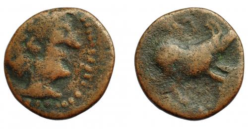 55 - HISPANIA ANTIGUA. NABRISA. Cuadrante. A/ Cabeza masculina a der. R/ Antílope a der., encima NA nexado. AE 2,46 g. 17,5 mm. I-1767. ACIP-2636. BC.