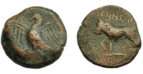85 - HISPANIA ANTIGUA. OBULCO. Semis. A/ Águila a izq. R/ Toro avanzando a izq., encima MNSM, debajo (SISIREM). Ae 9,54 g. 21,6 mm. I-1844 vte. ACIP-2245. BC+. Muy rara.