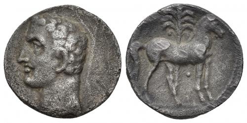 3008 - HISPANIA ANTIGUA. EMISIONES HISPANO-CARTAGINESAS. Shekel. A/ Cabeza masculina a izq. R/ Cabalo parado delante de palmera, glóbulo debajo del vientre. AR 6,71 g. 20,5 mm. I-537. ACIP-614. Raya en anv. y golpes en rev. MBC-/MBC.