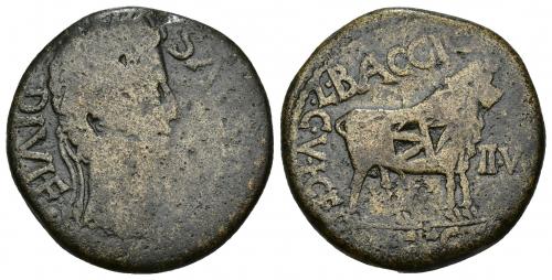 3013 - HISPANIA ANTIGUA. CELSA. Augusto. AS. A/ Cabeza laureada a der. R/ Toro parado a der.; C V I CEL -II VIR L BAGGIO / (MAN FESTO). AE 15,24 g. 27,7 mm. I-809. APRH-273. ACIP-3164. Guadán, 1980, nº 442, mismo ejemplar. Contramarca indeterminada en rev. BC-/BC+. Rara. Ex colección Guadán, 810.