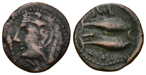 3040 - HISPANIA ANTIGUA. GADIR. Mitad. A/ Cabeza de Melkart con leonté a izq., delante clava. R/ Dos atunes a izq., entre ellos creciente sin punto y aleph; mp'l/´gdr. AE 5,39 g. 21,2 mm. I-1347 vte. ACIP-689. MBC-. Rarísima.