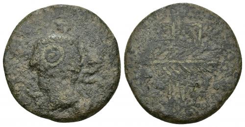 30 - HISPANIA ANTIGUA. ARSA. Unidad. A/ Cabeza masculina a izq., alrededor (A).R(SA). R/ Palma, ley. libio-fenicia poco visible. AE 9,48 g. 26,6 mm. I-131. ACIP-910. Superficies rugosas. BC. Muy rara. Ex subasta Áureo, 22-10-1997, lote 224 (colección Tartessos).