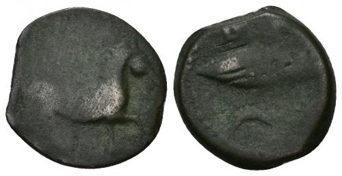 10 - HISPANIA ANTIGUA. BAILO. Semis. A/ Caballo avanzando a der. R/ Atún a izq., encima B(AILO), debajo creciente. I-189. ACIP-926. AE 3,88 g. 17,9 mm. BC-.