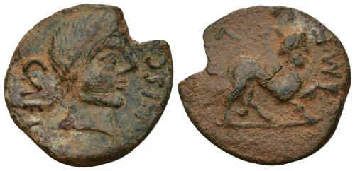28 - HISPANIA ANTIGUA. CASTULO. As. A/ Cabeza masculina diademada a der.; C AEL-MISC. R/ Esfinge a der., M F-V L. AE 8,87 g. 27 mm. I-710. ACIP-2160. Cospel falto. Grieta. Pátina verde terrosa. MBC/BC+. Compra privada a Pliego (1992).