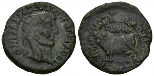 34 - HISPANIA ANTIGUA. CLUNIA. Tiberio. As. A/ Cabeza laureada a der.; TI CAESAR AVG F AVGVSTVS IMP. R/ Toro a izq., encima CLVNIA; L (IVL RVF T CALP CONT PO)MP LON P IVL AVI IIII VIR poco visible. AE 14,11 g. 29,8 mm. I-839. APRH-456. ACIP-3176. Pátina verde oscuro con concreciones. MBC. Ex ANE 21-11-1995.