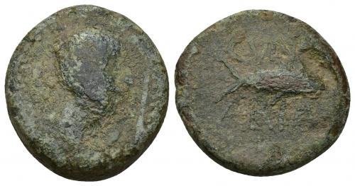 38 - HISPANIA ANTIGUA. CUMBARIA. Semis. A/ Cabeza masculina a der., delante palma, detrás S. R/ Atún a der., CVNBARIA. AE 12,38 g. 24,3 mm. I-881. ACIP-2619. Pátina verde con erosiones. BC-/BC. Rarísima.