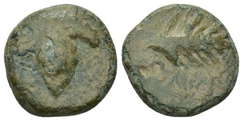 7 - HISPANIA ANTIGUA. BAICIPO. Semis. A/ Racimo de uvas, a izq. S. R/ Espiga a der., debajo BAIC(IP). AE 6,62 g. 18,7 mm. I-183. ACIP-2507. Pátina verde. BC+. Compra privada Pliego (1994).
