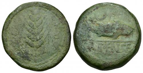 71 - HISPANIA ANTIGUA. ILIPA. As. A/ Espiga, a los lados caduceos. R/ Sábalo a der., encima creciente entre dos estrellas, debajo ILIPENSE entre líneas. AE 23,9 g. 35 mm. I-1530. ACIP-2332. Pátina verde con erosiones. BC+.