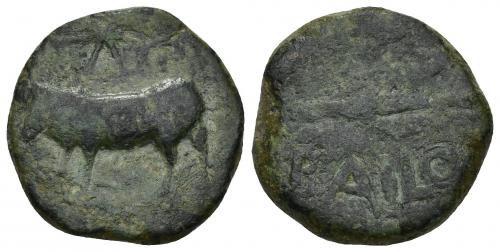 8 - HISPANIA ANTIGUA. BAILO. Mitad. A/ Toro a izq., encima estrella y creciente con glóbulo. R/ Espiga a izq., debajo BAILO. AE 11,14 g. 22,9 mm. I-185. ACIP-925. Pátina verde. BC+/BC-. Muy rara. Compra privada Pliego (1993).